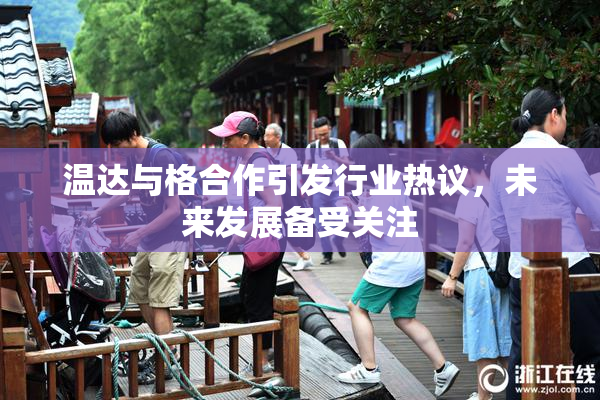 温达与格合作引发行业热议，未来发展备受关注