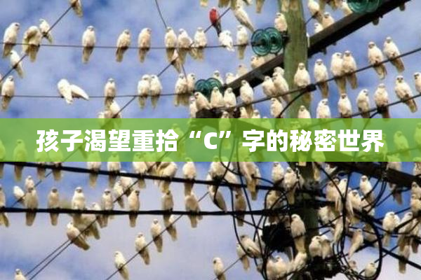孩子渴望重拾“C”字的秘密世界