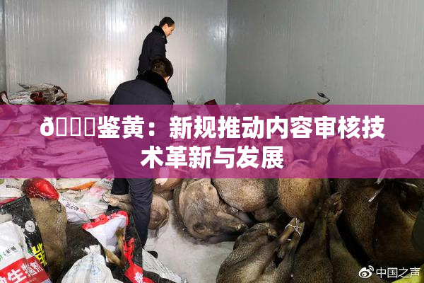 🔞鉴黄：新规推动内容审核技术革新与发展