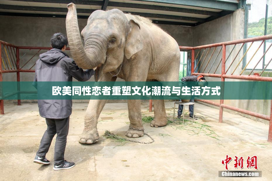欧美同性恋者重塑文化潮流与生活方式