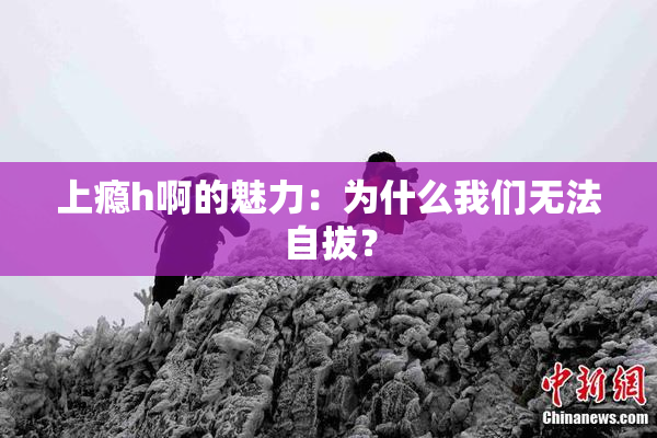 上瘾h啊的魅力：为什么我们无法自拔？