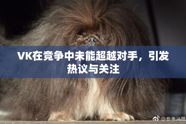 VK在竞争中未能超越对手，引发热议与关注