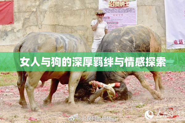 女人与狗的深厚羁绊与情感探索