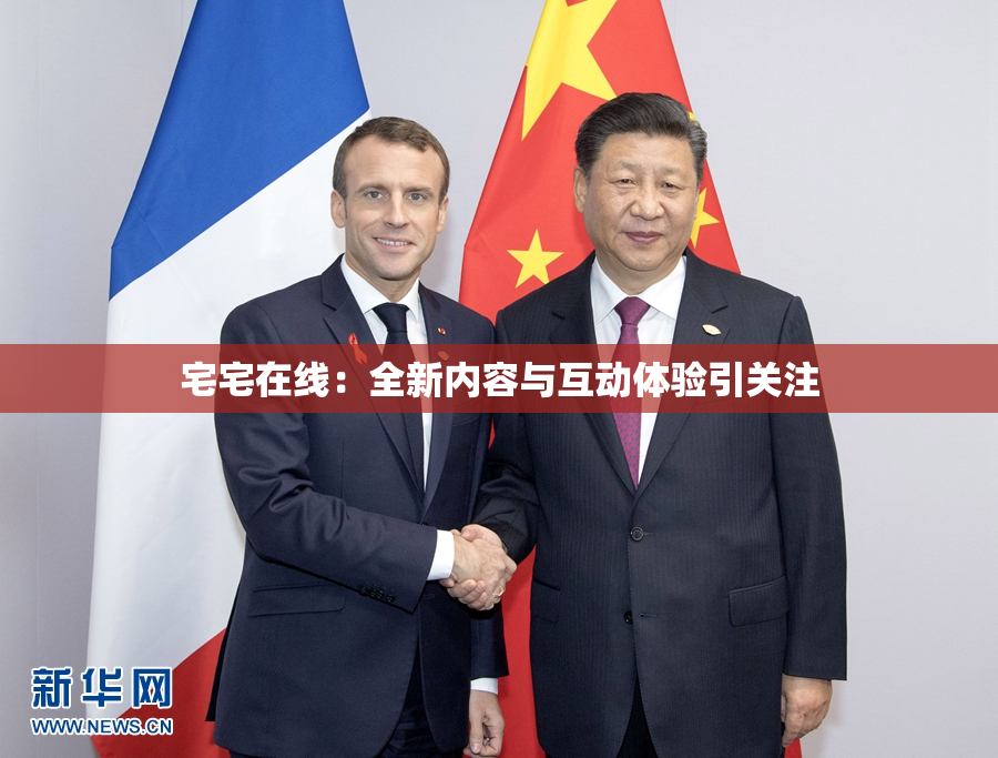 宅宅在线：全新内容与互动体验引关注