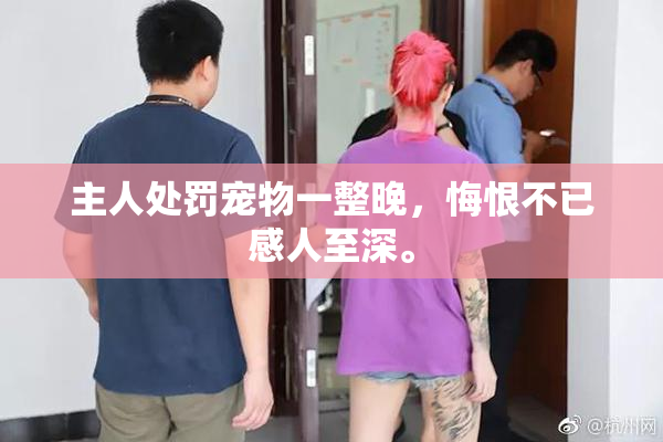 主人处罚宠物一整晚，悔恨不已感人至深。