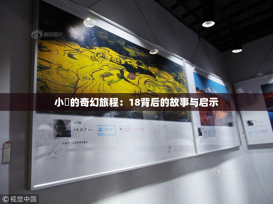 小泬的奇幻旅程：18背后的故事与启示