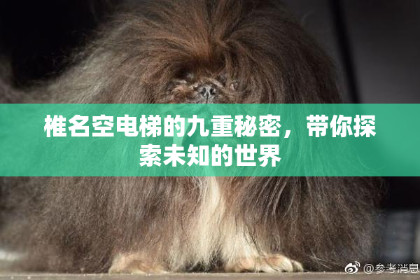 椎名空电梯的九重秘密，带你探索未知的世界