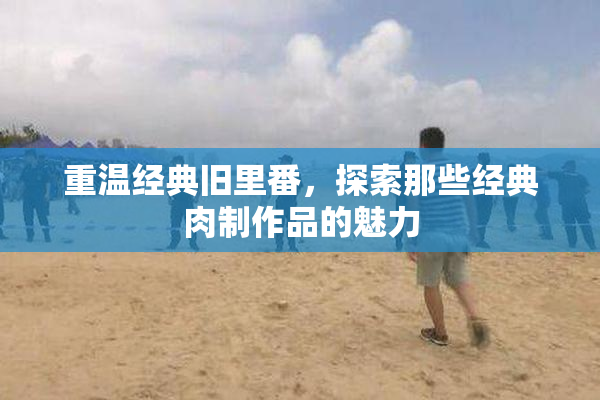 重温经典旧里番，探索那些经典肉制作品的魅力