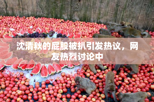 沈清秋的屁股被扒引发热议，网友热烈讨论中