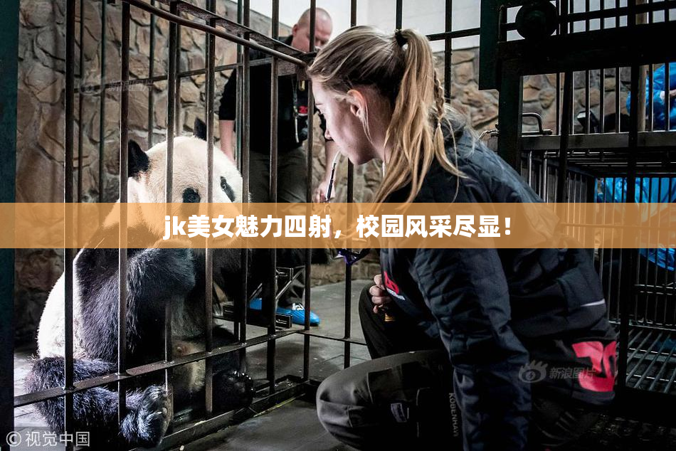 jk美女魅力四射，校园风采尽显！