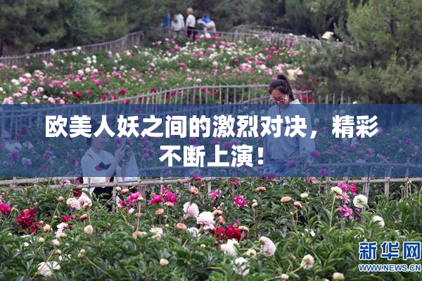 欧美人妖之间的激烈对决，精彩不断上演！