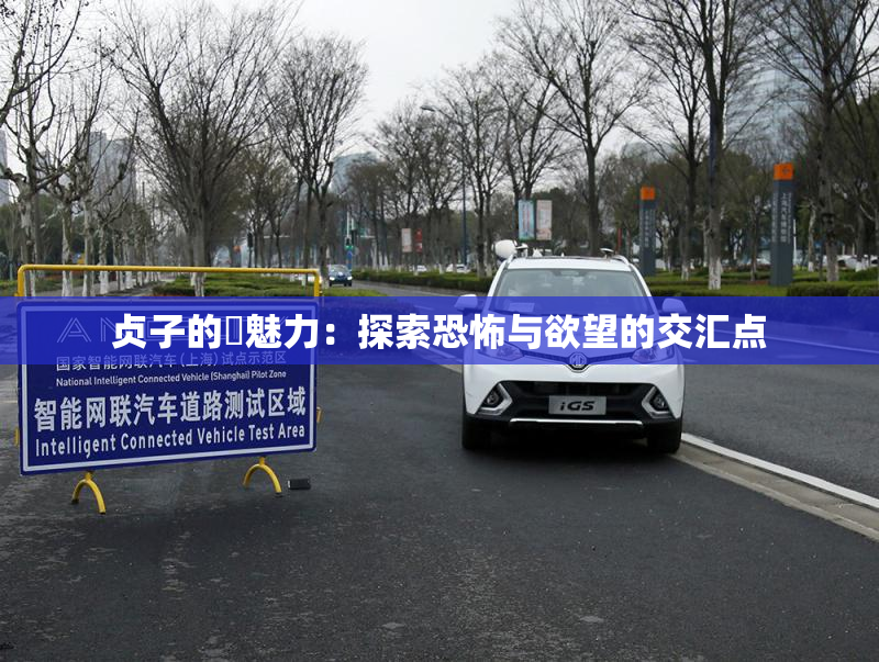 贞子的婬魅力：探索恐怖与欲望的交汇点
