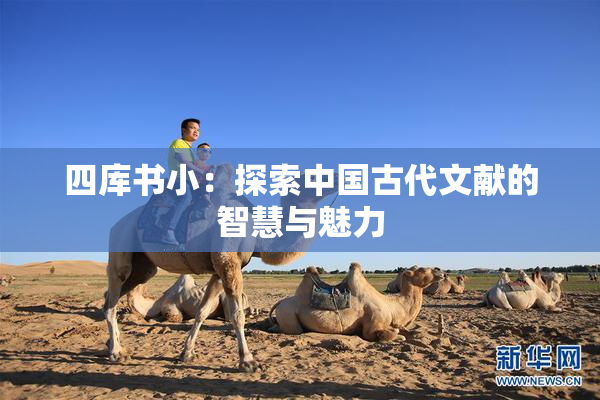 四库书小：探索中国古代文献的智慧与魅力