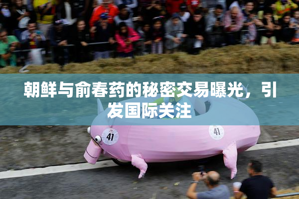 朝鲜与俞春药的秘密交易曝光，引发国际关注