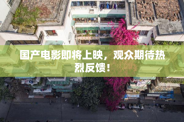 国产电影即将上映，观众期待热烈反馈！