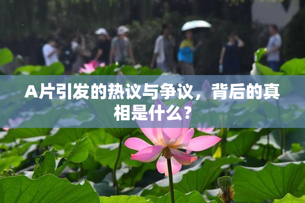 A片引发的热议与争议，背后的真相是什么？