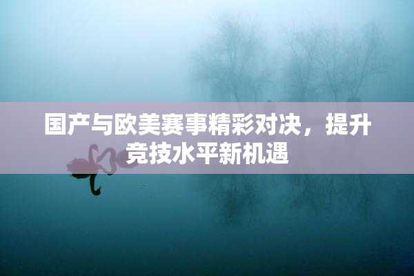 国产与欧美赛事精彩对决，提升竞技水平新机遇