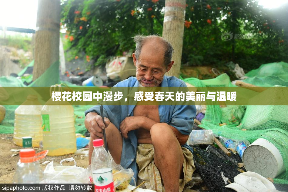 樱花校园中漫步，感受春天的美丽与温暖
