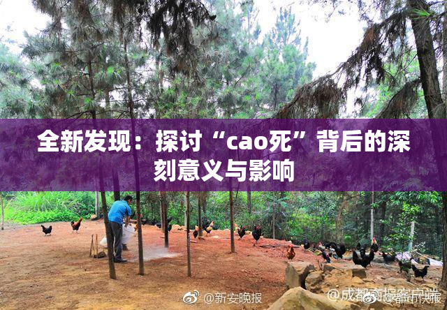 全新发现：探讨“cao死”背后的深刻意义与影响