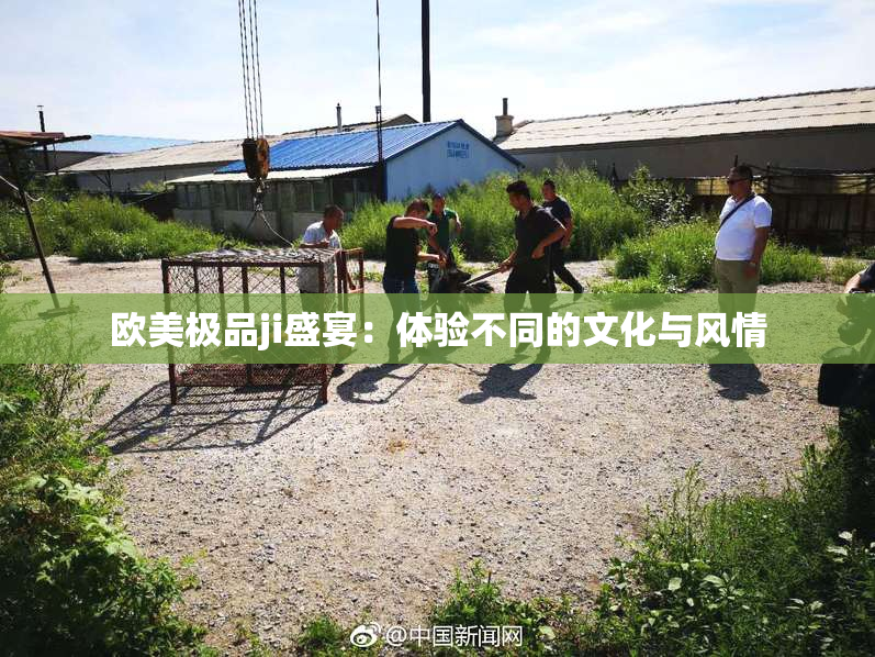 欧美极品ji盛宴：体验不同的文化与风情