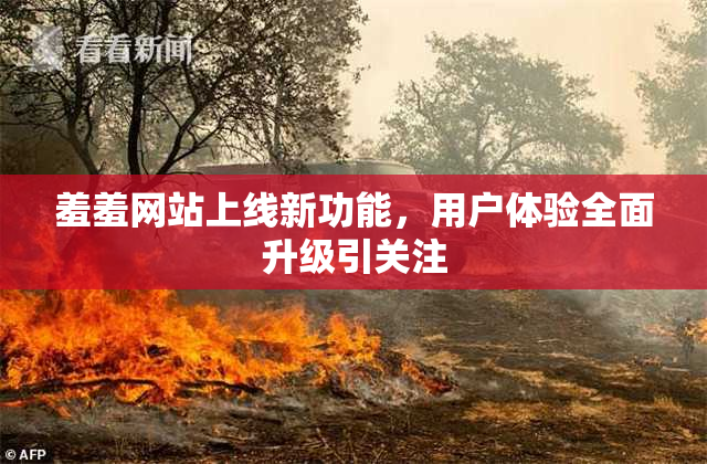 羞羞网站上线新功能，用户体验全面升级引关注