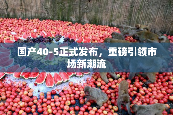国产40-5正式发布，重磅引领市场新潮流