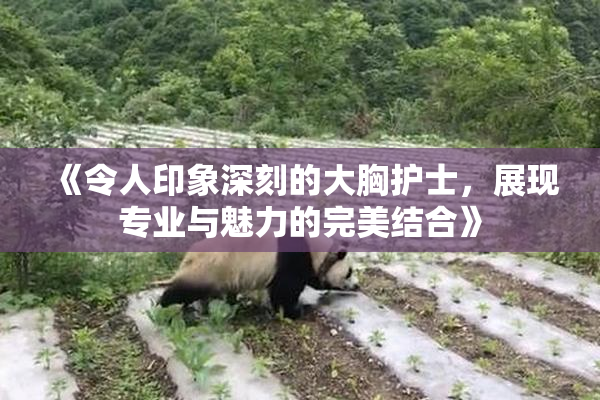 《令人印象深刻的大胸护士，展现专业与魅力的完美结合》