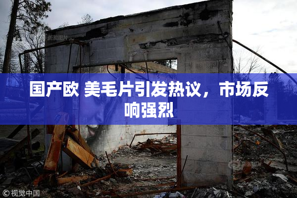 国产欧 美毛片引发热议，市场反响强烈