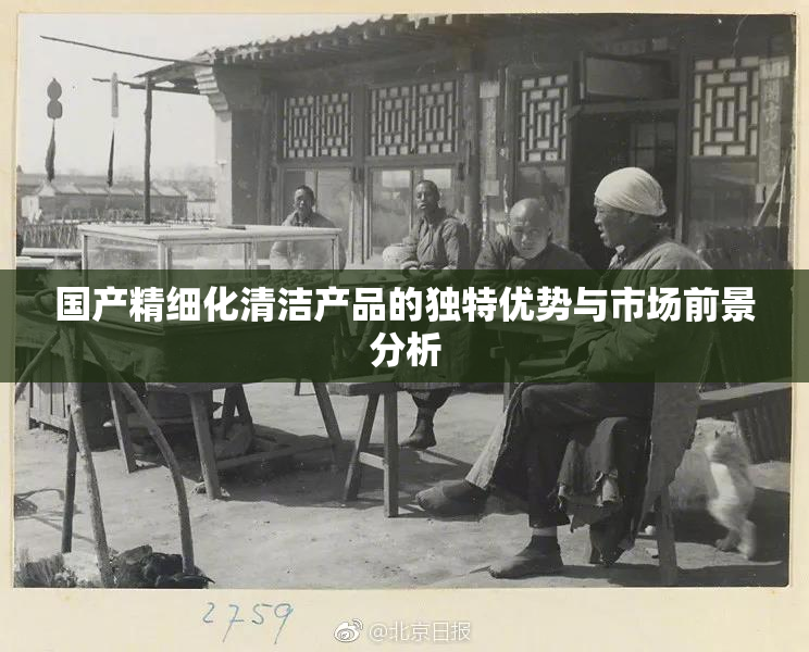 国产精细化清洁产品的独特优势与市场前景分析