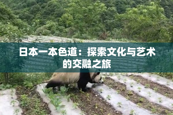 日本一本色道：探索文化与艺术的交融之旅