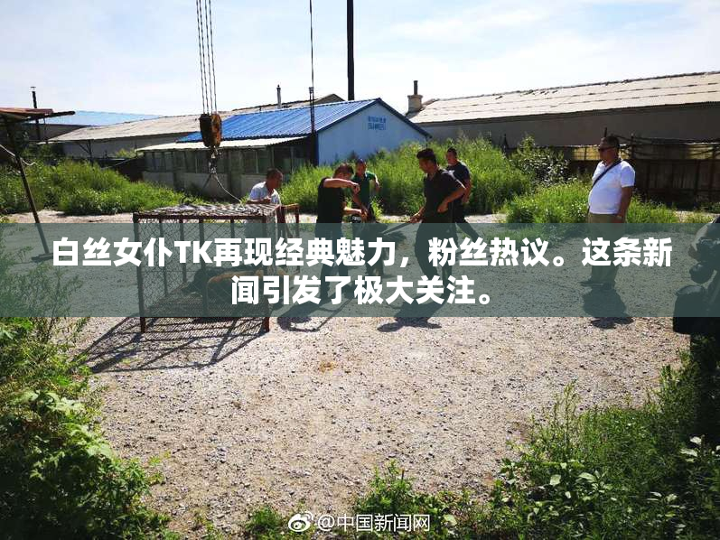白丝女仆TK再现经典魅力，粉丝热议。这条新闻引发了极大关注。