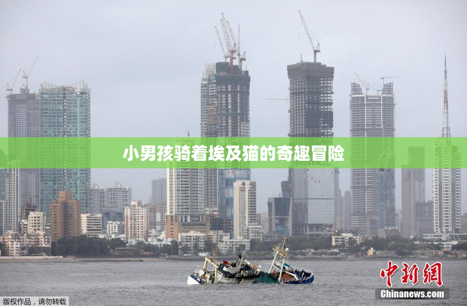 小男孩骑着埃及猫的奇趣冒险