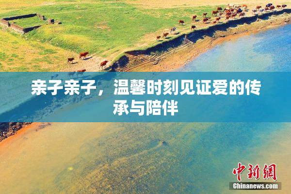 亲孑亲子，温馨时刻见证爱的传承与陪伴