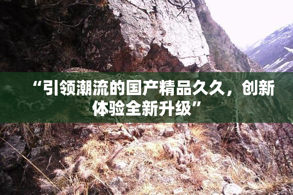 “引领潮流的国产精品久久，创新体验全新升级”