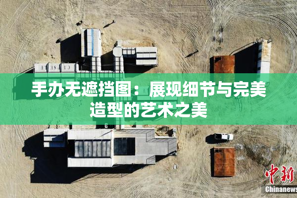 手办无遮挡图：展现细节与完美造型的艺术之美