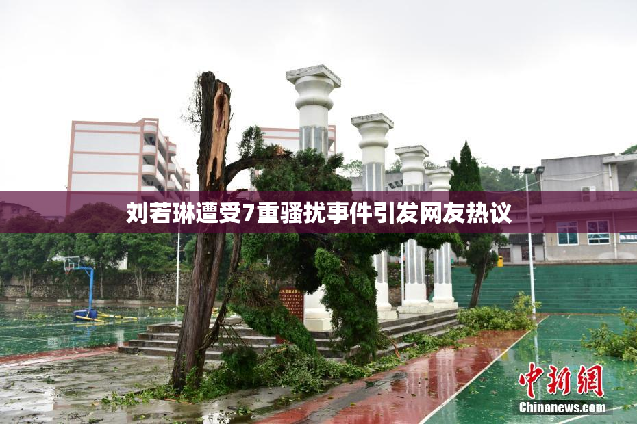 刘若琳遭受7重骚扰事件引发网友热议