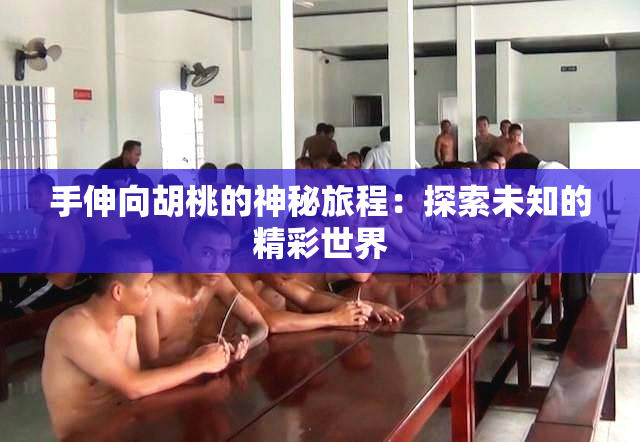 手伸向胡桃的神秘旅程：探索未知的精彩世界