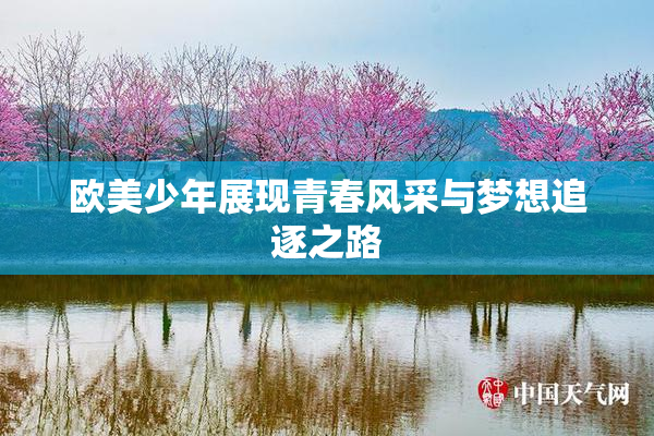 欧美少年展现青春风采与梦想追逐之路