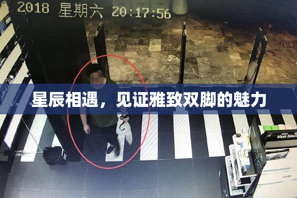 星辰相遇，见证雅致双脚的魅力