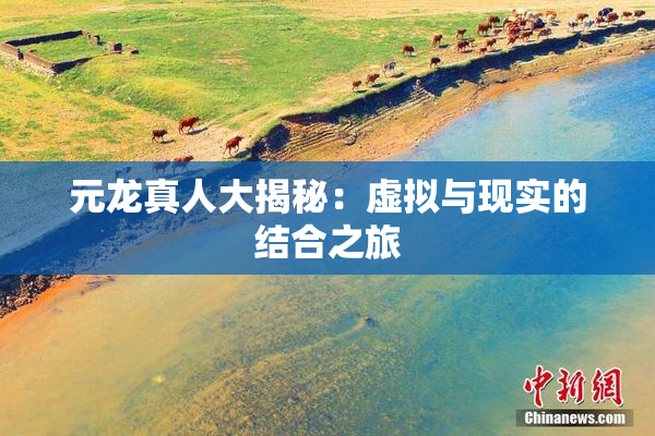 元龙真人大揭秘：虚拟与现实的结合之旅