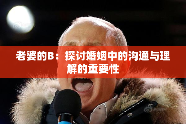 老婆的B：探讨婚姻中的沟通与理解的重要性