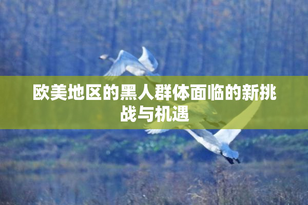 欧美地区的黑人群体面临的新挑战与机遇