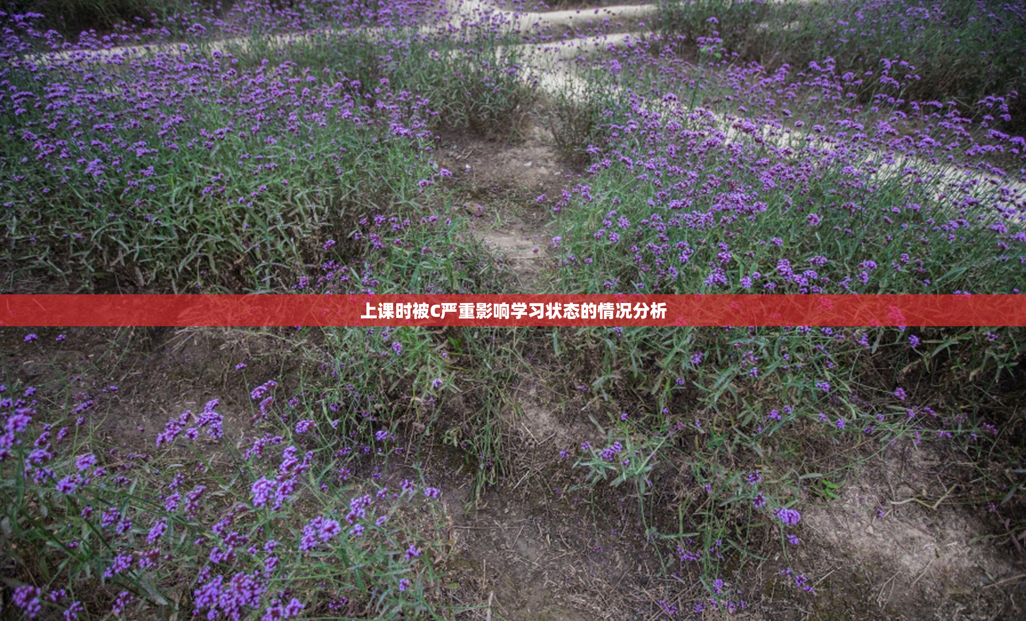 上课时被C严重影响学习状态的情况分析