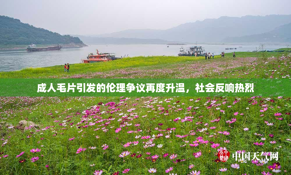 成人毛片引发的伦理争议再度升温，社会反响热烈