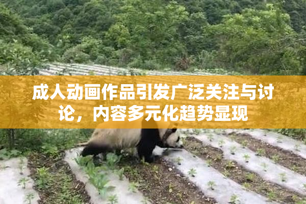 成人动画作品引发广泛关注与讨论，内容多元化趋势显现