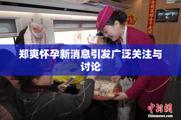 郑爽怀孕新消息引发广泛关注与讨论