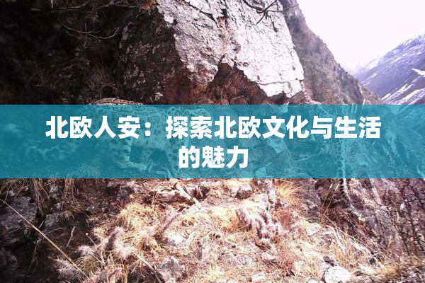 北欧人安：探索北欧文化与生活的魅力
