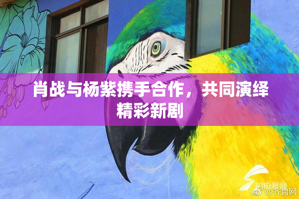 肖战与杨紫携手合作，共同演绎精彩新剧