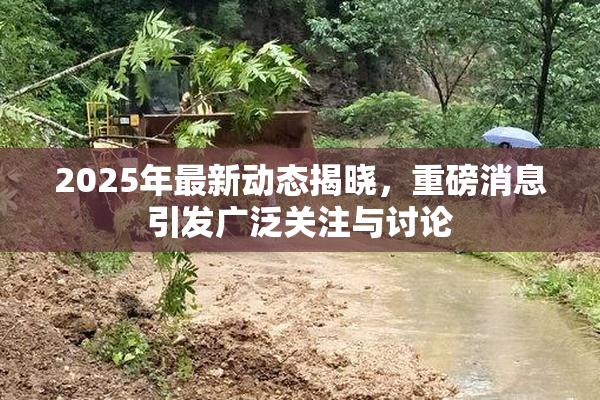 2025年最新动态揭晓，重磅消息引发广泛关注与讨论
