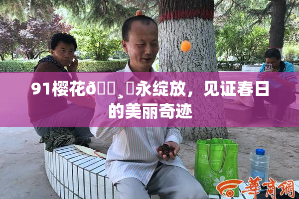91樱花🌸‌永绽放，见证春日的美丽奇迹